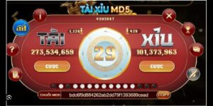 Các lợi ích khi chơi tài xỉu MD5